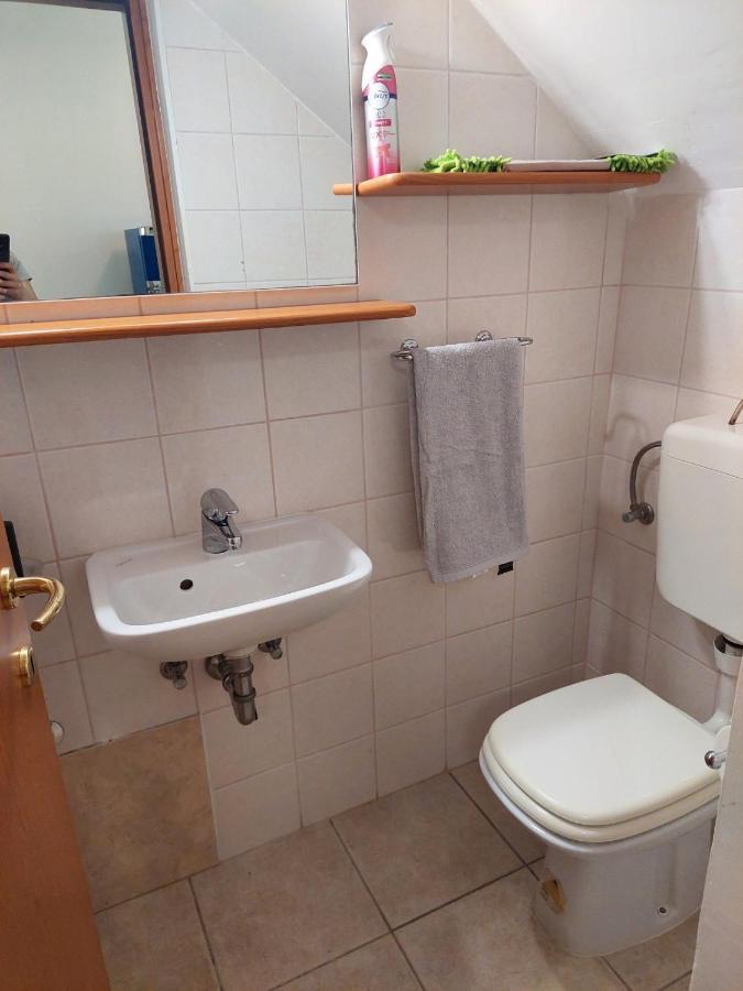 Fortuna Apartment Tar-Vabriga Dış mekan fotoğraf